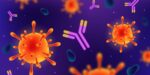 image antibody purple - 1200 X 675 1623919145